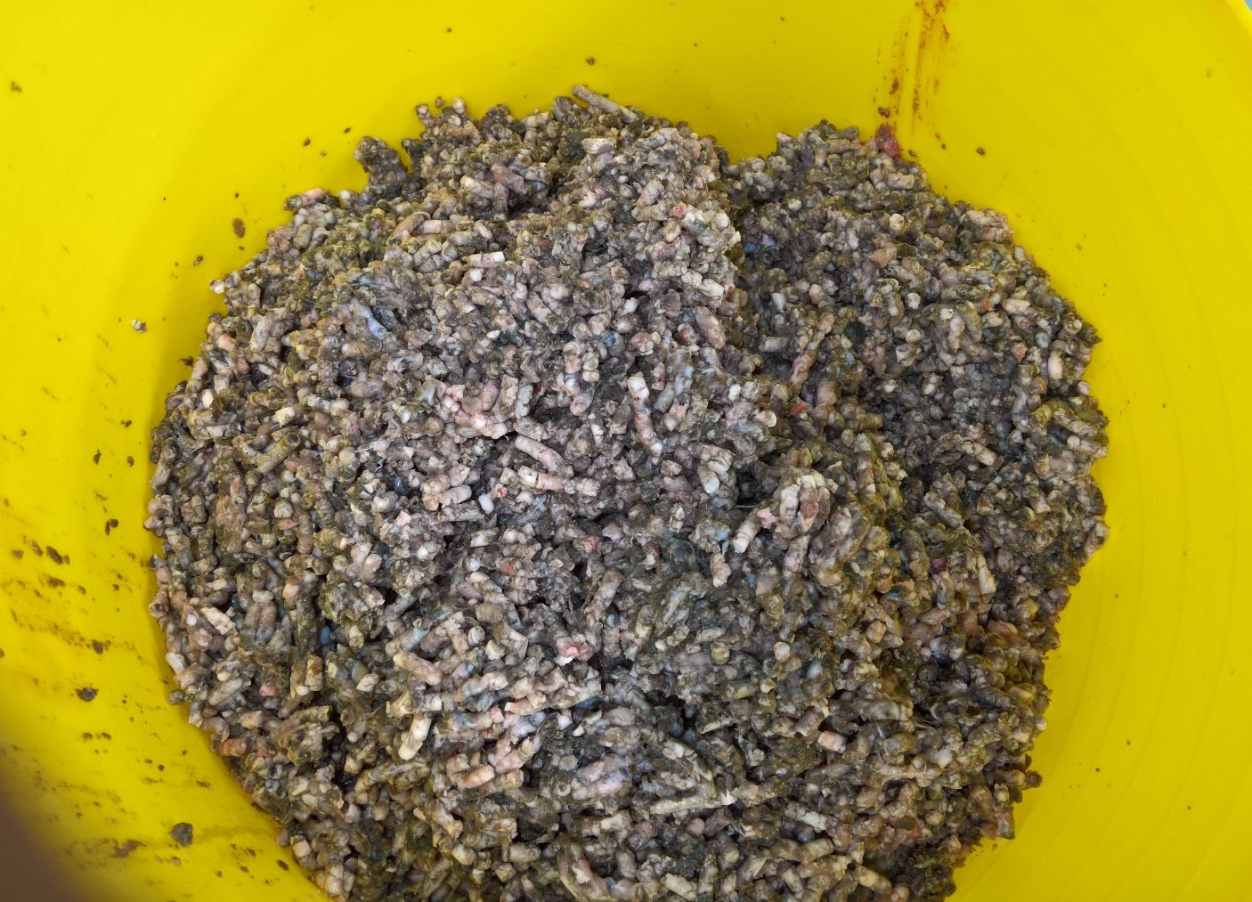 Frozen Minced Green Tripe 40x500g Chubs 20kg For Dogs BARF / Raw - rawbarffood.co.uk