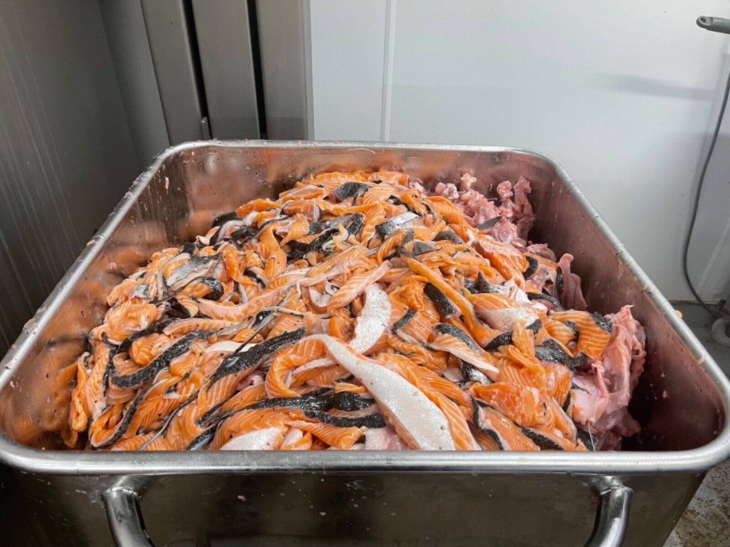 Frozen Dog Food Chicken & Salmon Mince 20 x 500g chubs 10kg box - rawbarffood.co.uk